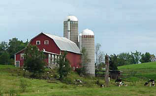 Working farms enrich the Valley views